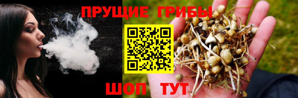 Псилоцибиновые грибы Magic Shrooms Городец