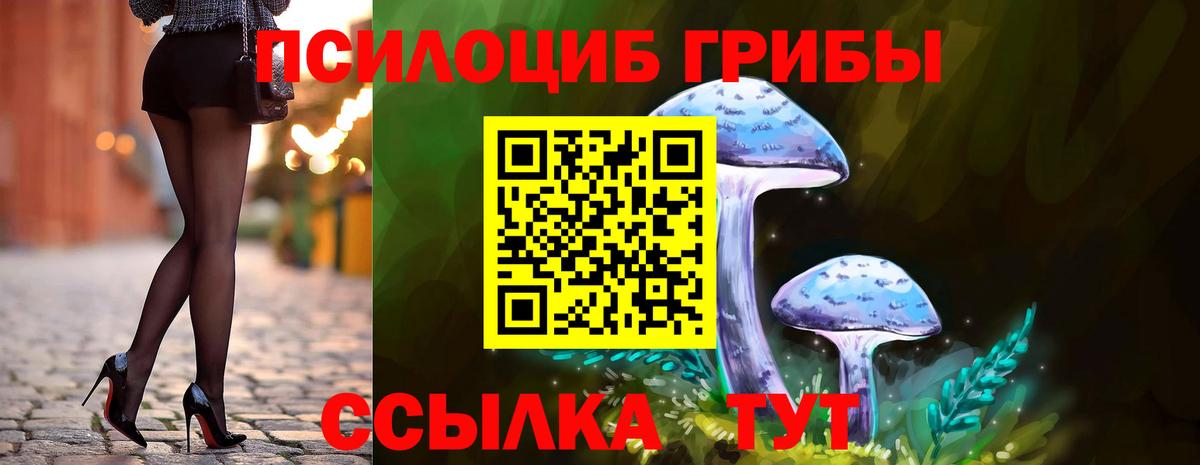 Городец  Псилоцибиновые грибы MAGIC MUSHROOMS  Вход с VPN  Галлюциногенные грибы ЛСД 